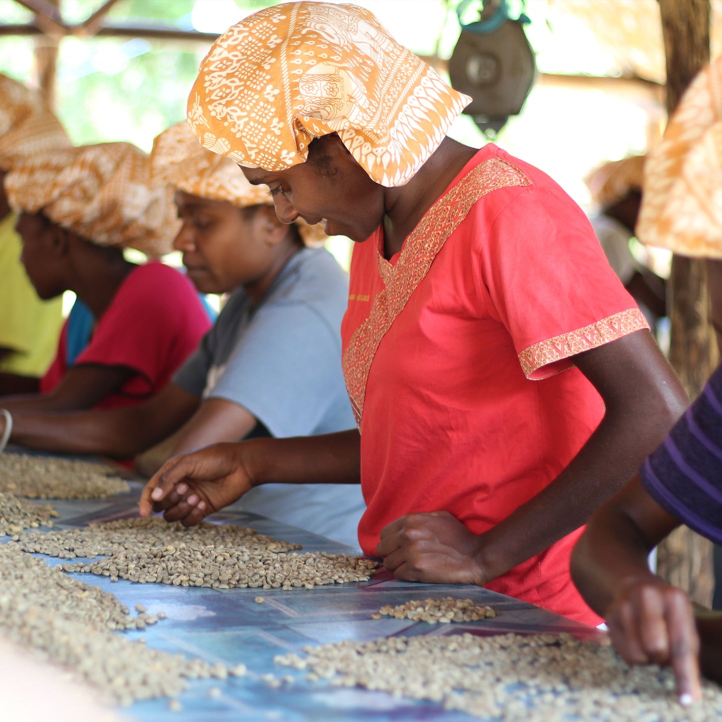 Installing a Coffee Roaster on Tanna Island, Vanuatu