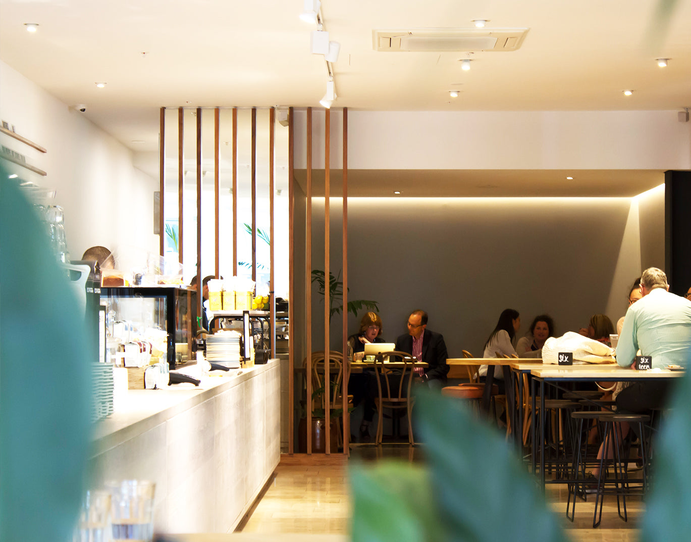 Mojo Aurora - Wellington
