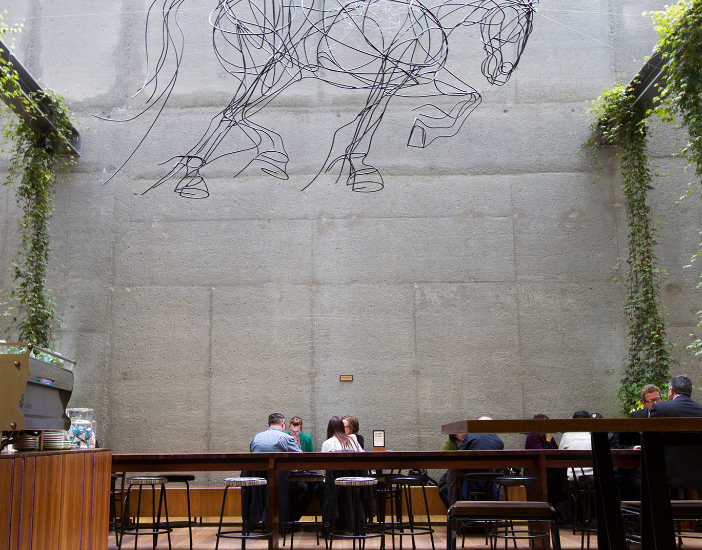 Mojo Central - Wellington
