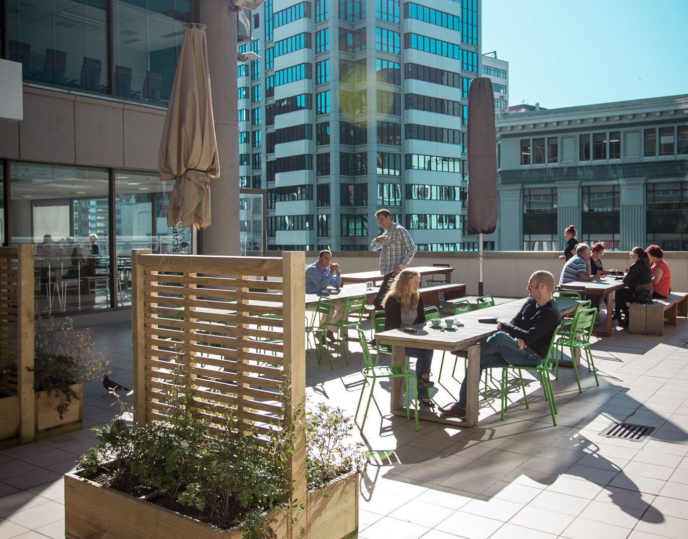 Mojo Terrace - Wellington