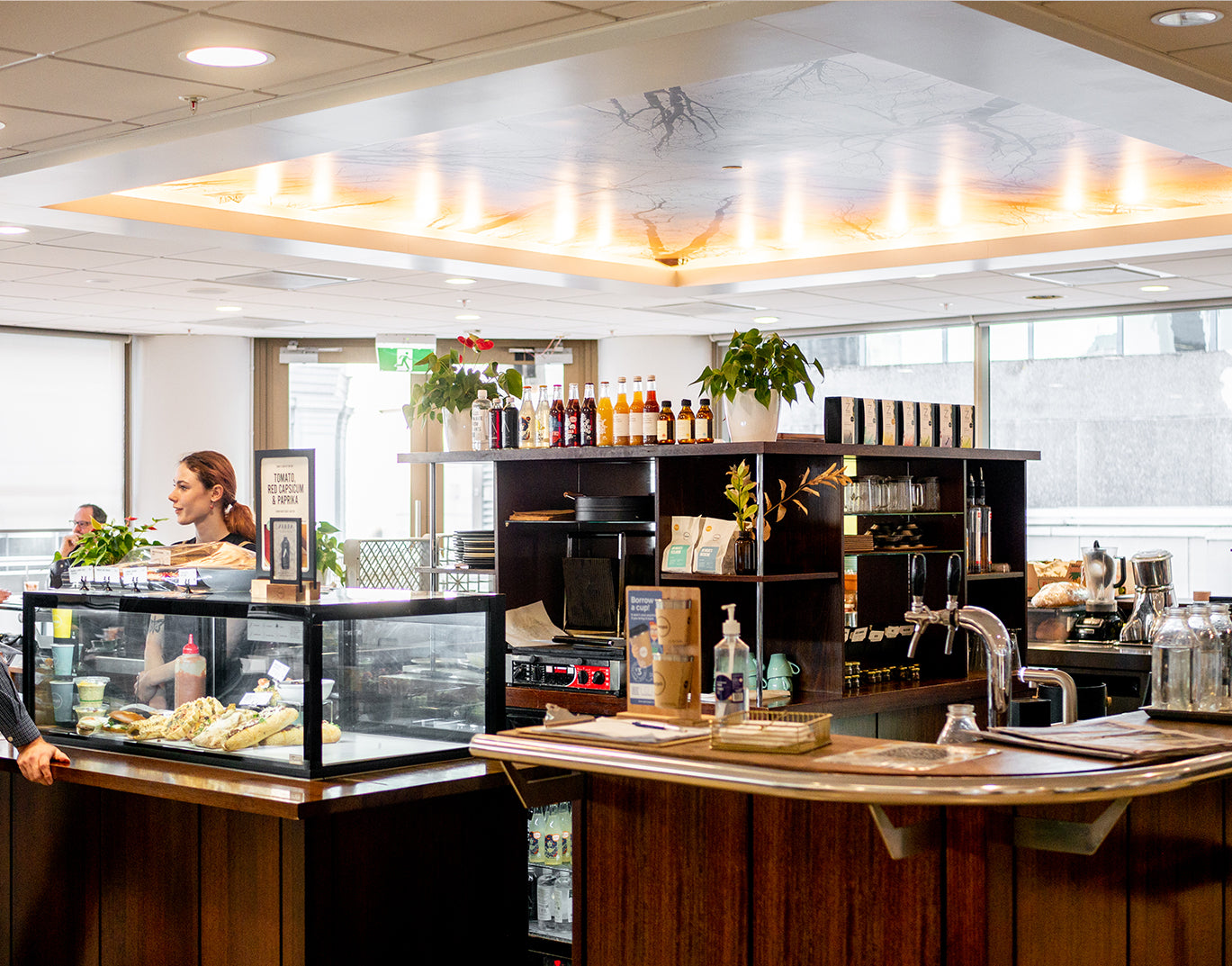 Mojo Terrace - Wellington