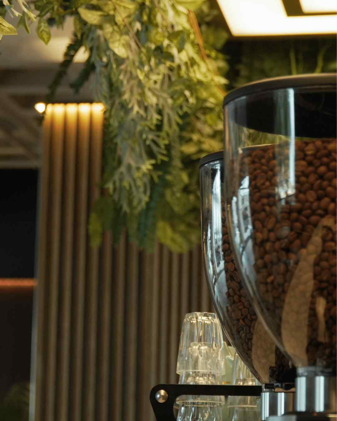 
                  
                    Mojo Mosaic - Auckland
                  
                