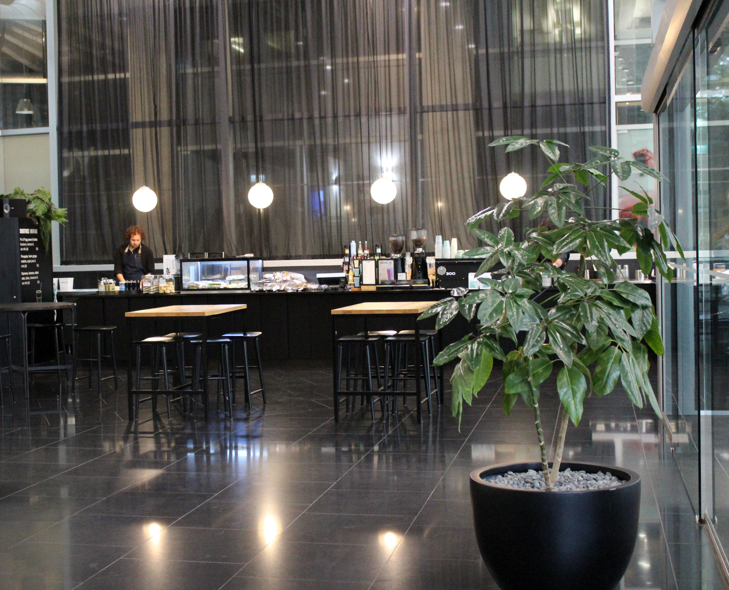 
                  
                    Mojo Tahi - Wellington
                  
                