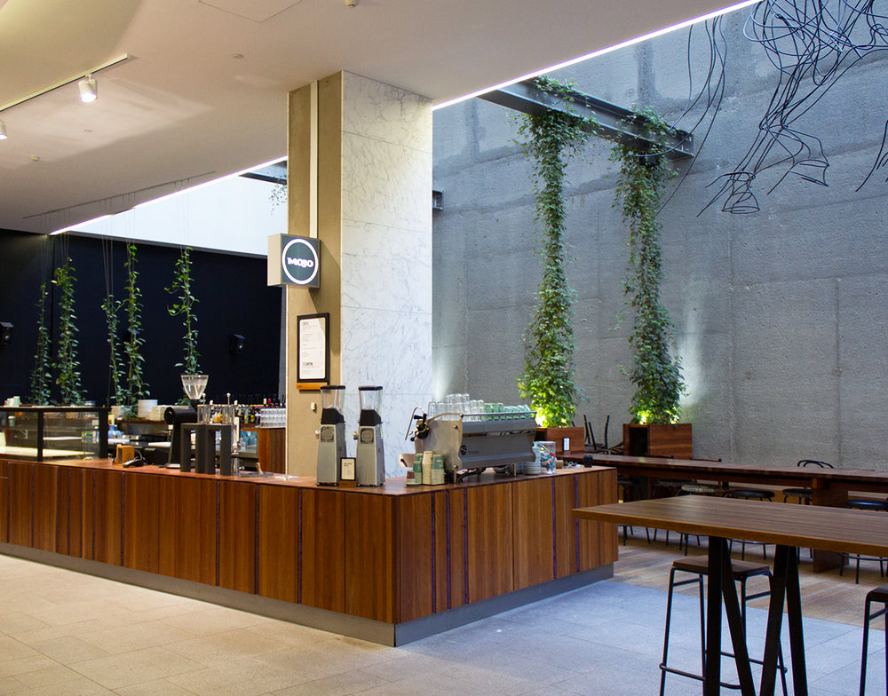 
                  
                    Mojo Central - Wellington
                  
                