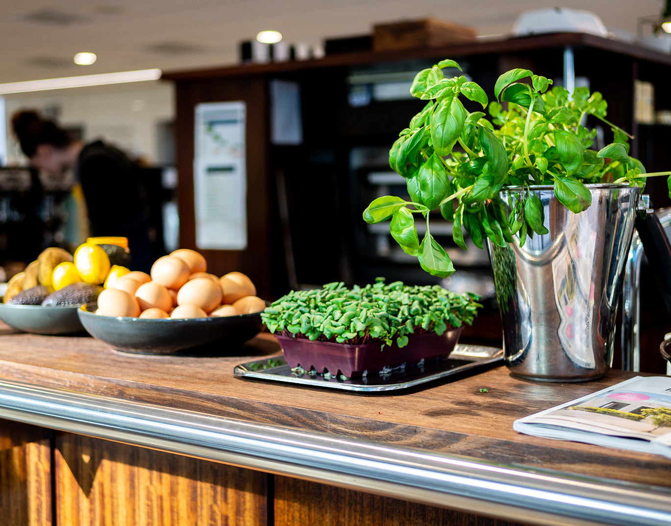 
                  
                    Mojo Terrace - Wellington
                  
                